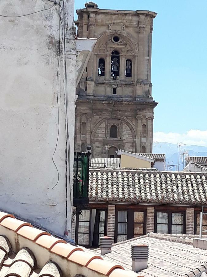 Catedral Lujo Parking Gratis Lejlighed Granada Eksteriør billede
